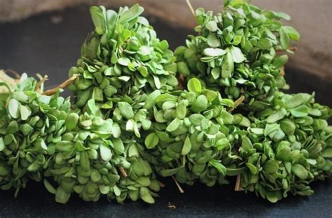 Organic Fresh Fenugreek Leaves Shelf Life Days At Rs In