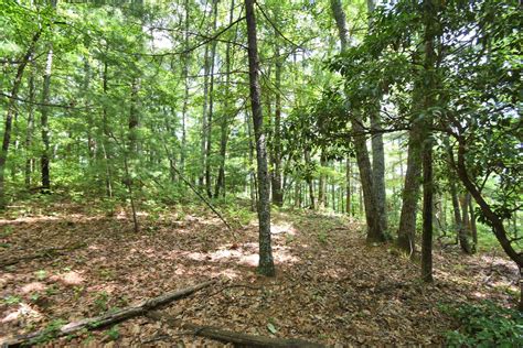 Unrestricted NC Mountain Land For Sale