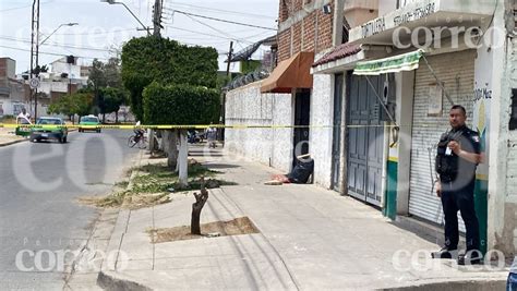 Mientras podaba un árbol asesinan a hombre en Las Arboledas de León