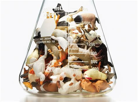 thit nhan tao cuu tinh cua nhan loai