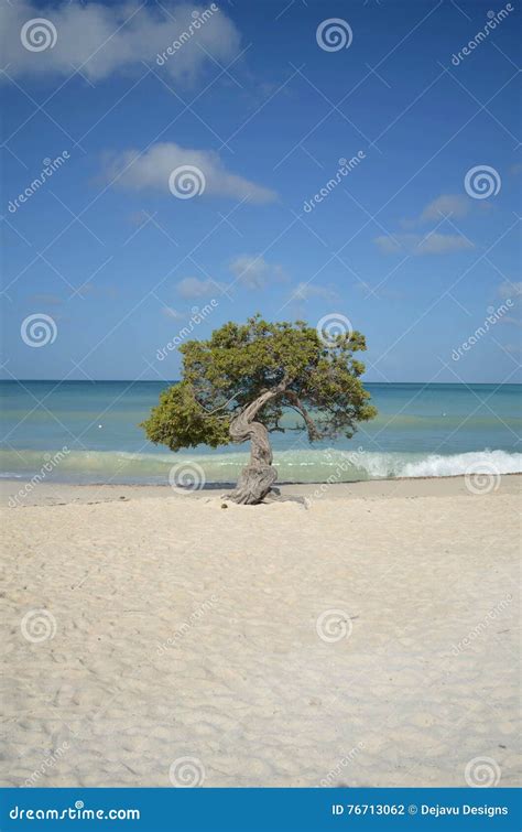 Onde Che Si Schiantano A Terra Su Eagle Beach Fotografia Stock