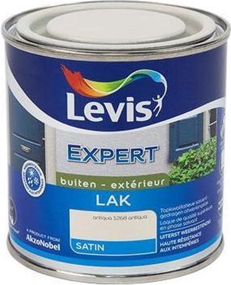 Levis Lak Expert Buiten Antiqua Zijdeglans 250 Ml