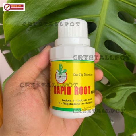 Jual RAPID ROOT PLUS 100 GR Hormon Pertumbuhan Akar Dan Merangsang Akar