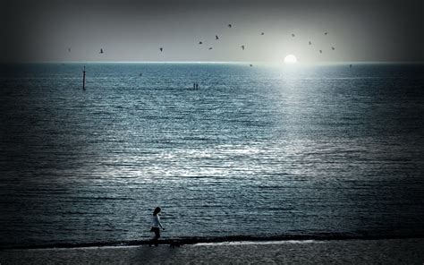 Wallpaper Sunlight Birds Sunset Sea Water Reflection Sky