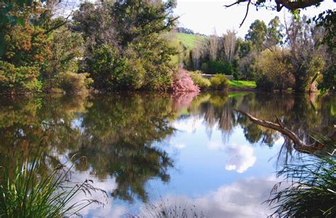 Blackwood Valley Wine