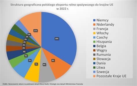 W wielu zakątkach świata można spotkać polskie jabłka Kobieta w sadzie