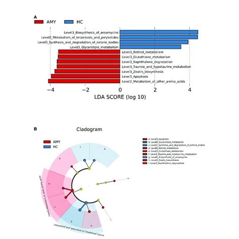 Prediction For Differential Functional And Metabolic Alterations Of Gut