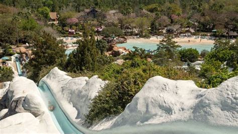 Disney Water Park Guide Typhoon Lagoon Vs Blizzard Beach