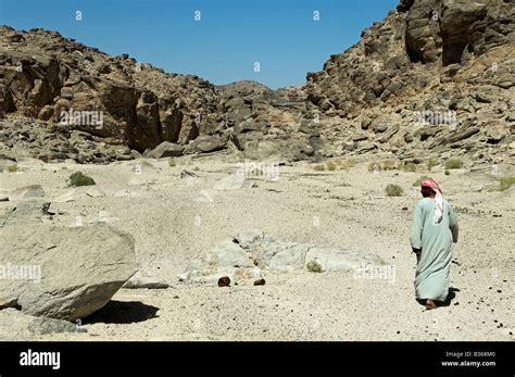 Ababda Bedouin Tribesman In Desert Wadi El Gemal National Park Egypt