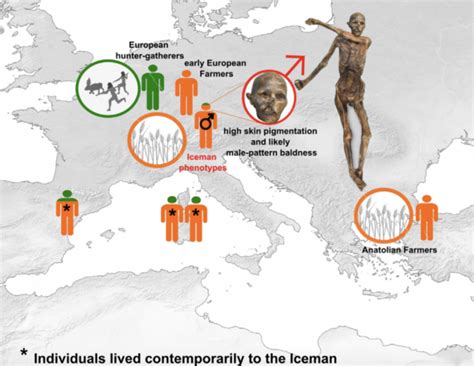 The Famous Iceman Tzi Is Not Who We Thought He Was Science News