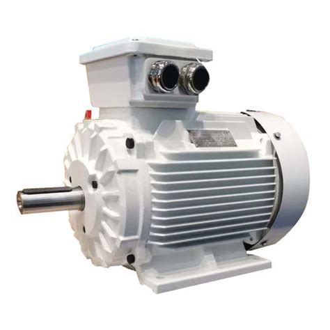 Moteur Couple 3 Phases YE4 Series Dalian Dalmo Electric Motor Co