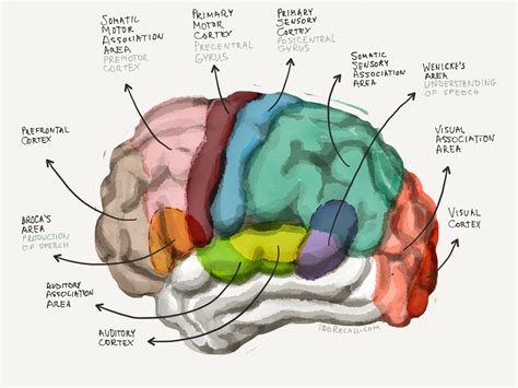 Unit 5 Psychology