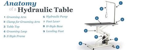 Grooming Table Guide