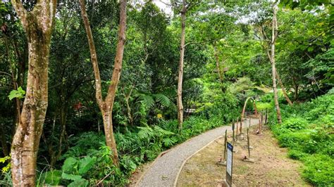 嶄新開啟，土城後花園秘境，五星級的原住民族生態公園 健行筆記