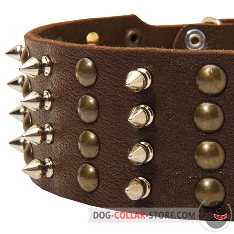 Buy Leather Dog Collar | Brass Spikes Nickel Studs