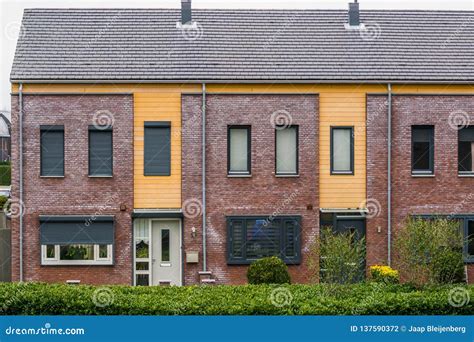 Two Terraced Houses Decorated with Diverse Plants, Modern Dutch ...