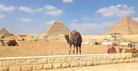 Kairo Pyramiden Von Gizeh Tagesausflug Ins Gyptische Museum Kamel