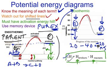 # 20 Potential Energy Diagrams | Educreations