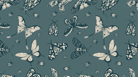 Desktop Wallpaper | Butterflies in 2023 | Computer wallpaper desktop ...