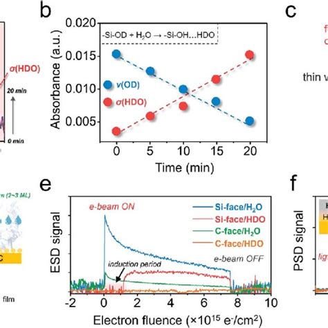 Water Adsorption Behavior Of The C And Si Face Of 6H SiC A Dynamic