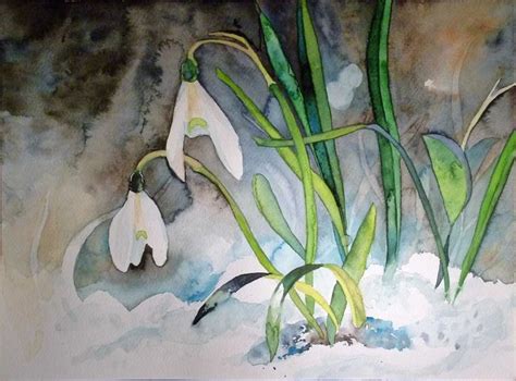 Schneeglöckchen Aquarell von Frank Koebsch Blumen aquarell