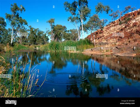 Billabong Waterhole Pilbara Northwest Australia Stock Photo Alamy