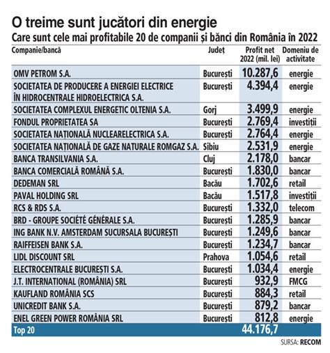 Top Cele Mai Profitabile Companii Din Romania Doua Sunt Din Bacau