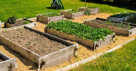 21 Benefits Of Raised Bed Gardening Backyard Eden