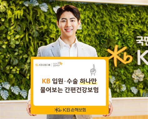 Kb손해보험 Kb 입원·수술 하나만 물어보는 간편건강보험 출시