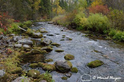 Marcel Huijser Photography Montana Landscapes Fall Colors Along