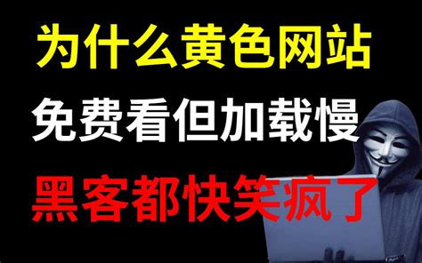 为什么颜色网站让你免费看？黑客都快笑疯了（提供网络安全ddos攻防渗透 哔哩哔哩