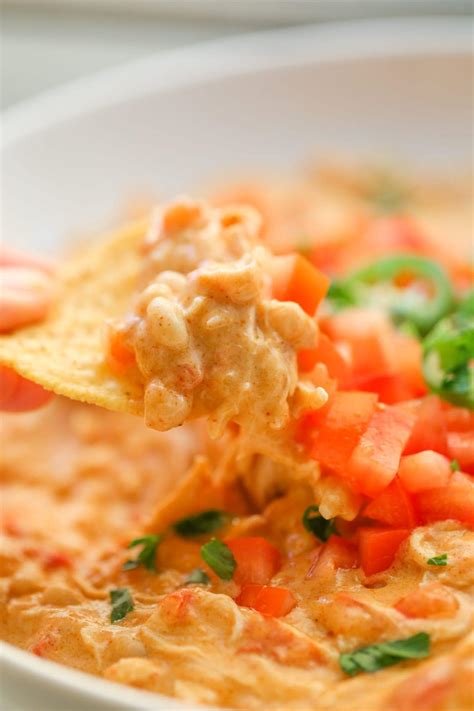 Chicken Nacho Dip Laurens Latest