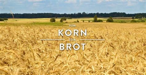 Vom Korn Zum Brot Echt Fl Ming