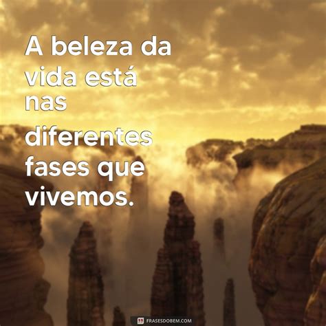 Fases Da Vida Frases - Frases Inspiradoras para Cada Fase da Vida: Reflexões e Motivação ...