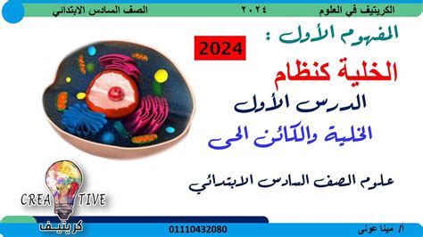 الصف السادس الابتدائي علوم ترم اول 2025 المفهوم الاول الخلية كنظام