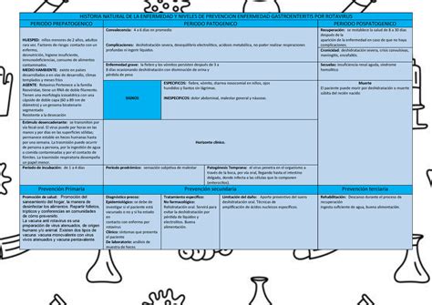 Historia Natural De La Enfermedad Gastroenteritis Rotavirus Historia