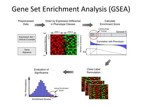 Ppt Gene Set Enrichment Analysis Gsea Powerpoint Presentation Free Download Id3586410