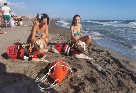 I Cani Da Salvataggio Della Sics Salvano Cinque Persone In Un Weekend