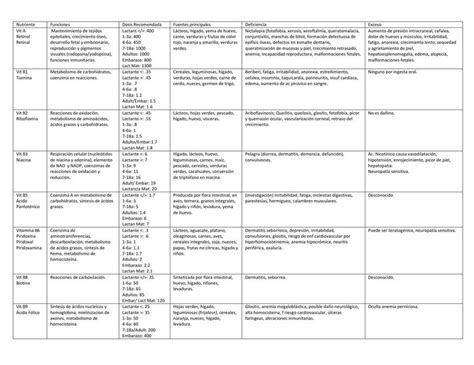 Tabla De Nutrientes Vitaminas Y Minerales UDocz Creators UDocz