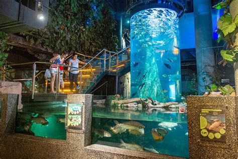 aquaria klcc superleuke attractie  het centrum van kuala lumpur