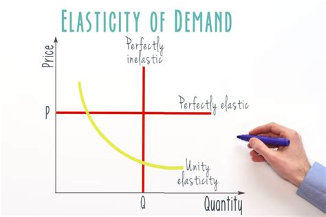 What Is Inelastic Definition Calculation And Examples Of Inelastic