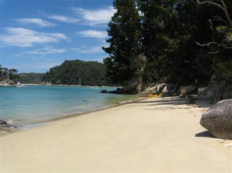 Summer Beach Photo Of Tasman Nelson New Zealand At Kiwiwise