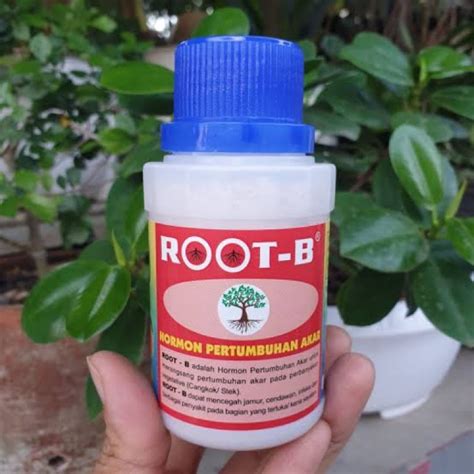 Jual ROOT B 100GRAM HORMON PERTUMBUHAN AKAR MENJAGA KESEHATAN AKAR DAN