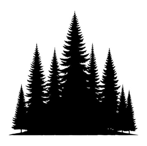 Premium Vector Pine Tree Forest Fir Trees Silhouette