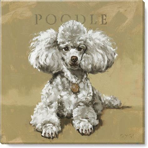 Darren Gygi Home Collection Poodle Giclee Wall Art By Darren Gygi On Canvas Wayfair