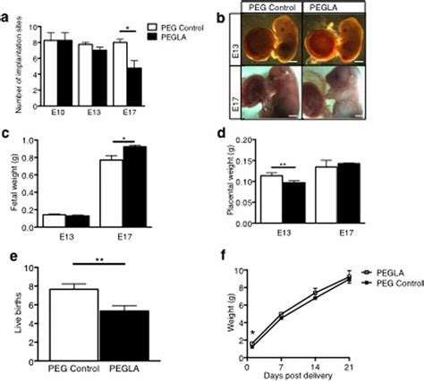 Lif Inhibition During Placental Development Reduces Pregnancy Viability