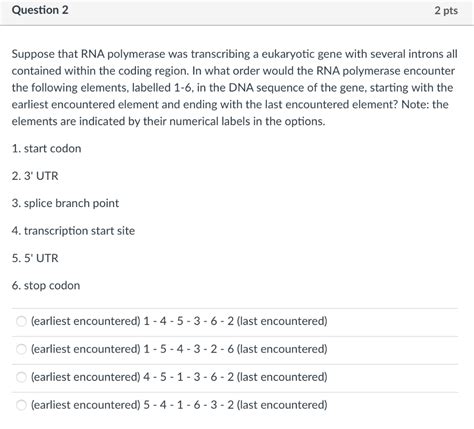 Solved Suppose That Rna Polymerase Was Transcribing A Chegg