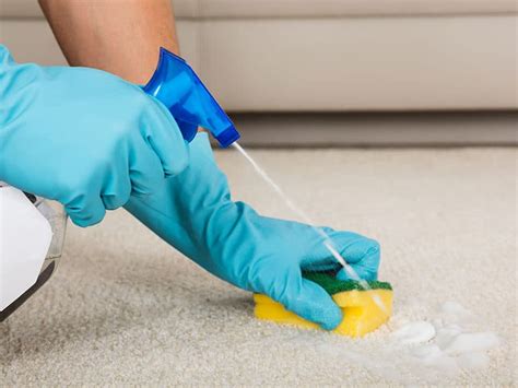 How To Clean Carpet By Hand Deep Cleaning Guide 2023