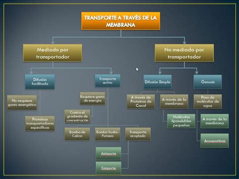 Fisiología Humana Transporte a través de la membrana celular