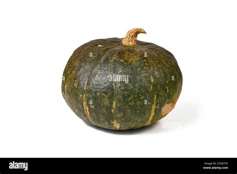 Green Japanese Kabocha Squash On White Background Stock Photo Alamy